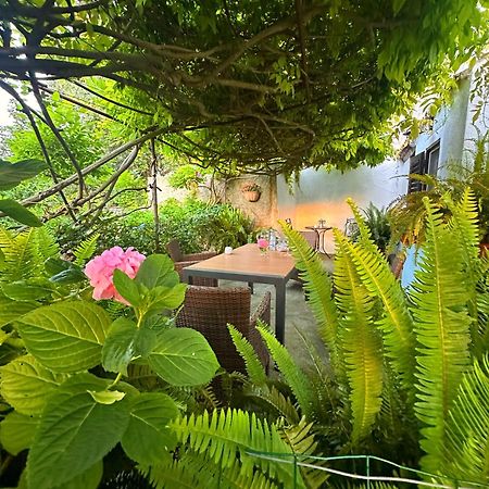 Apartment Renata Veli Lošinj Zewnętrze zdjęcie
