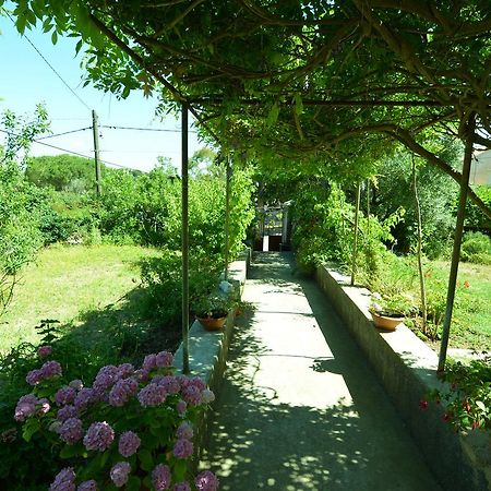 Apartment Renata Veli Lošinj Zewnętrze zdjęcie