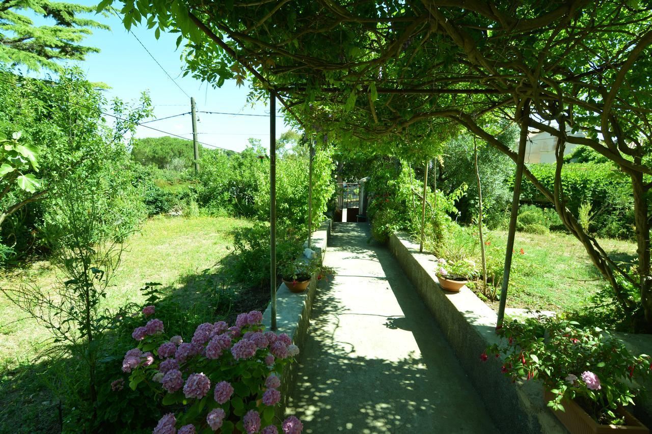 Apartment Renata Veli Lošinj Zewnętrze zdjęcie